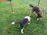 2015_07_21 bella ud joie 008